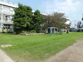 第一小学校の芝生