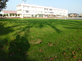 第九小学校の芝生