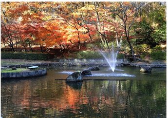 野山北公園ひょうたん池が紅葉している写真