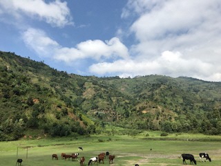 ウガンダ風景