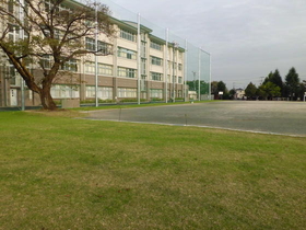 第一中学校の芝生
