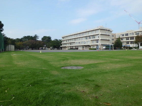 雷塚小学校の芝生