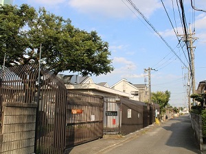 引又街道（学園1-5にある奥住榎付近のようす）