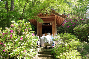 谷津仙元神社富士講