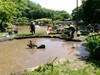 野山北公園の活動