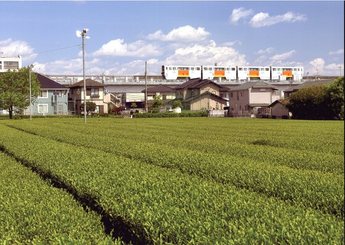 上北台駅付近の茶畑を走るモノレールの写真