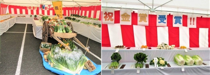 R6品評会会場
