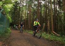 狭山丘陵の中を自転車で走る写真