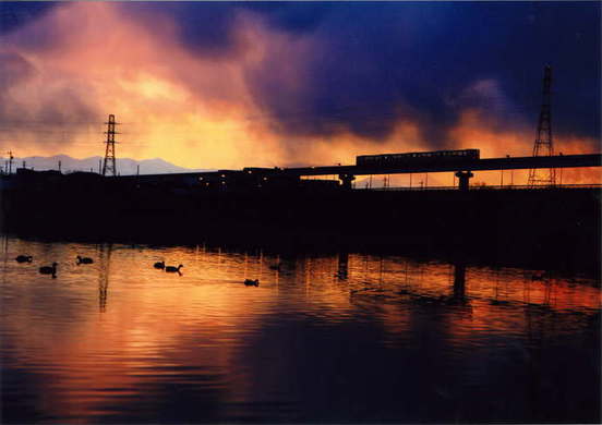 立日橋の上のモノレールや鳥が写る夕暮れの風景
