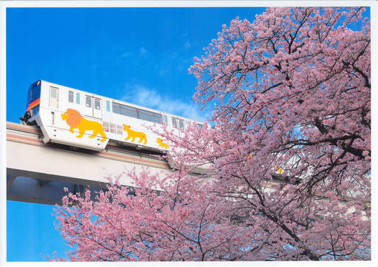 モノレールが桜並木を駆け抜けていく風景