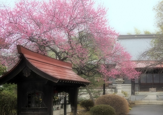 一般写真　市内風景部門