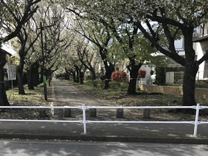 軽便鉄道跡