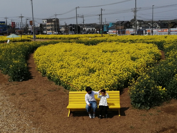 一般写真　市内風景部門