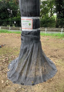 ネット巻きをした写真