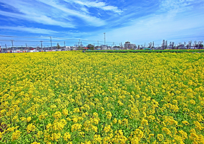 一般写真・市内風景部門