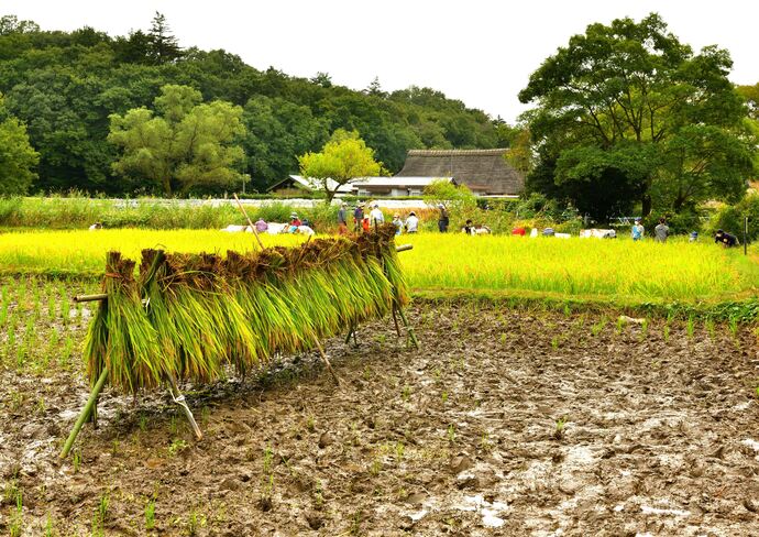 一般写真・市内風景部門