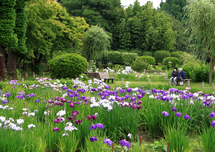 市内風景部門