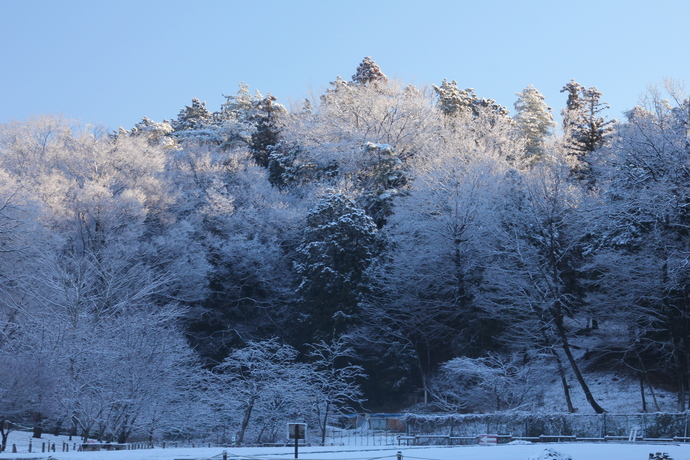 一般写真・市内風景部門