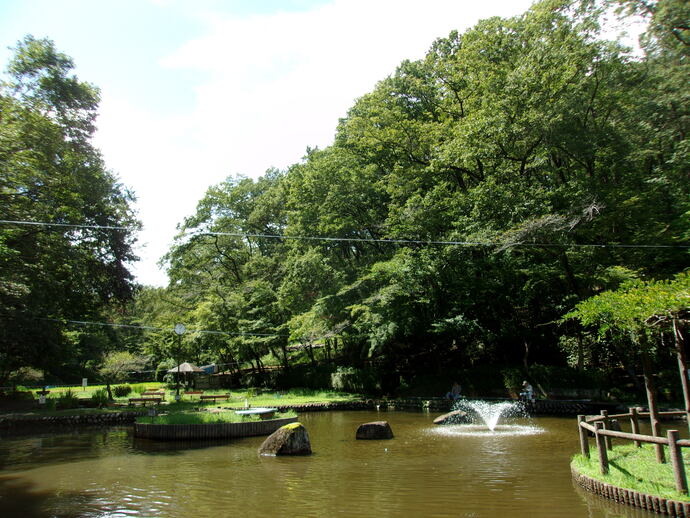 野山北公園の写真