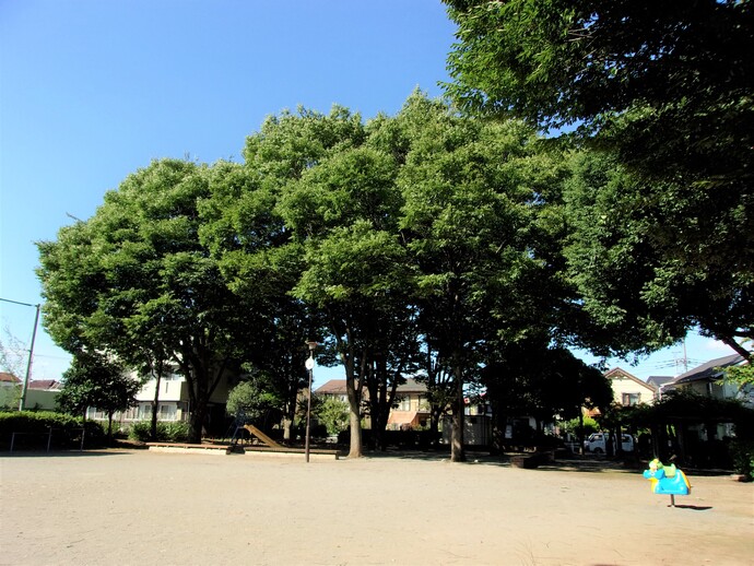 経塚向公園の写真