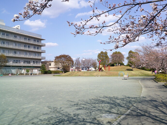 プリンスの丘公園の写真