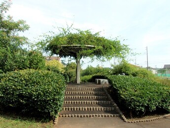 山王森緑地広場の写真