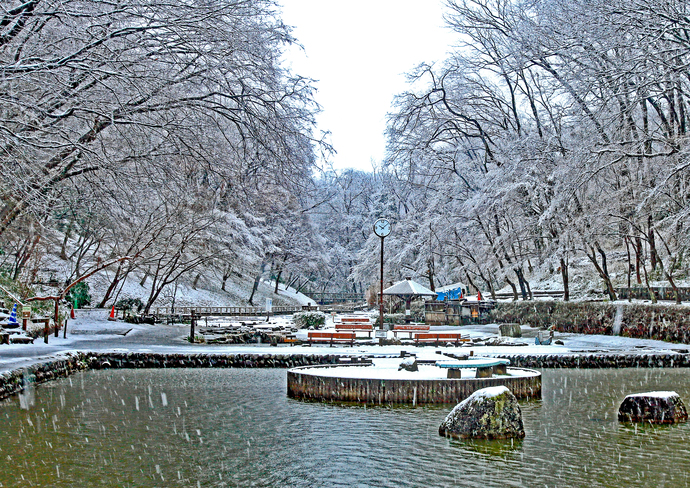 「野山北公園雪景色」
