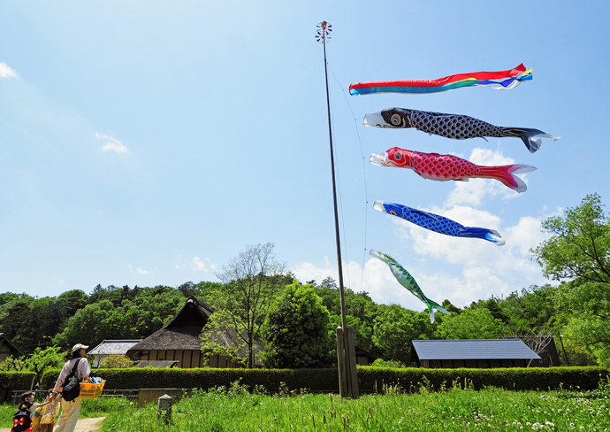 「里山の天空に舞う」