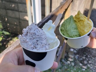 ヴェルデの手作りジェラート