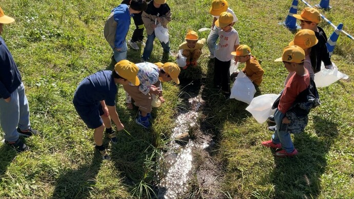 生活科見学で秋を見つける八小の1年生